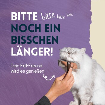 Eine Hand bürstet eine flauschige weiße Katze mit einem Pflegewerkzeug, mit dem Text: "BITTE NOCH EIN BISSCHEN LÄNGER! Dein Fell-Freund wird es genießen."