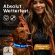 Ein Golden Retriever mit einem blauen Halsband steht neben einer Person in einer orangefarbenen Jacke. Text: "Absolut Wetterfest" und "Wasserfester Akku."
