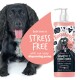 Ein glücklicher schwarz-weißer Hund neben Bugalugs Luxury 2-in-1 Shampoo + Conditioner, der eine stressfreie Badezeit fördert.