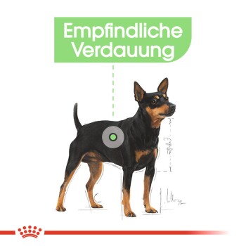 Illustration eines schwarz-braunen Hundes mit dem Text "Empfindliche Verdauung", der auf eine sensible Verdauung hinweist, hervorgehoben mit einem grünen Kreis.