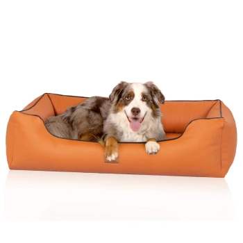 Ein glücklicher Australian Shepherd Hund liegt in einem gemütlichen orangefarbenen Haustierbett mit schwarzem Rand und zeigt sein verspieltes Wesen.