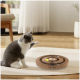 Eine verspielte grau-weiße Katze, die nach einem kreisförmigen, geschichteten Katzenspielzeug mit bunten Bällen auf einem hellen Teppich in einem hellen Raum greift.