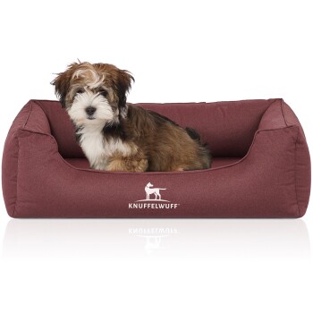 Flauschiger braun-weißer Welpe sitzt in einem weinroten Hundebett mit der Aufschrift 'KNUFFELWUFF' und weißem Hundelogo.