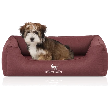 Flauschiger braun-weißer Welpe sitzt in einem weinroten Hundebett mit der Aufschrift 'KNUFFELWUFF' und weißem Hundelogo.