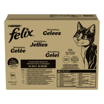 Sensations Countryside Selection in Gelee 80x85 g Schachtel mit Purina Felix Katzenfutter mit "Countryside Selection in Jelly," enthält 20 Beutel à 85g, mit einer verspielten Katzenillustration.