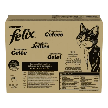 Schachtel mit Purina Felix Katzenfutter mit "Countryside Selection in Jelly," enthält 20 Beutel à 85g, mit einer verspielten Katzenillustration.