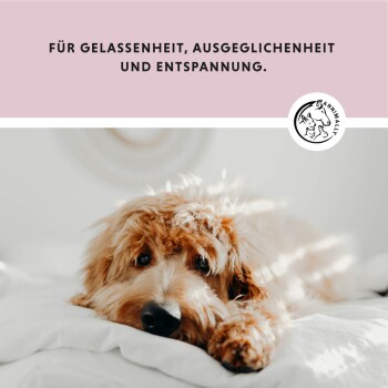Annimally Relax Tabletten XL²