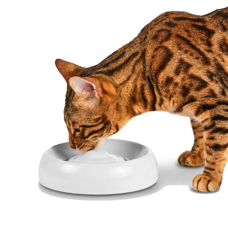 Katzennapf Keramik Premium-Qualität M