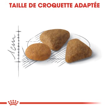Trois morceaux de croquettes pour animaux de différentes formes (rondes et triangulaires) sur un contour esquissé, avec le texte "TAILLE DE CROQUETTE ADAPTÉE" au-dessus.