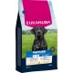 Sac de nourriture Eukanuba Mature pour chiens de grandes et très grandes races, riche en poulet frais, 15 kg, avec un chien noir sur fond de champ vert.