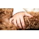 Een close-up van een hand die zachtjes rust op de vacht van een fluffy, bruine hond, wat een warme, liefdevolle interactie laat zien.