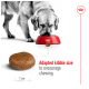 A golden retriever sniffs a red bowl of kibble, with a close-up of a kibble piece labeled "Adapted size for chewing."