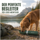 Golden Retriever trinkt aus einer grünen Romneys-Reiseflasche am Bergsee; sichtbarer Text: 'DER PERFEKTE BEGLEITER'.