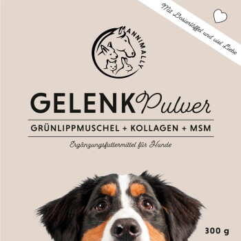 GelenkPulver Verpackung mit einer Nahaufnahme des Gesichts eines Hundes, mit Text, der die Inhaltsstoffe hervorhebt: Grünlippmuschel, Kollagen und MSM.