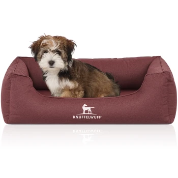 Ein kleiner, flauschiger Hund sitzt bequem in einem burgunderfarbenen Hundebett mit dem Logo "KNUFFELWUFFF", das auf der Vorderseite sichtbar ist.