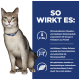 Eine gesunde Katze mit einem blauen Halsband sitzt vor einem blauen Hintergrund, der die Vorteile von Tiernahrung für die Nierengesundheit und ausgewogene Nährstoffe zeigt.