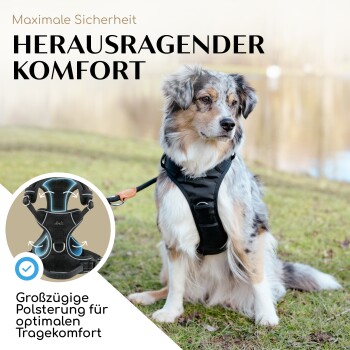 Hund trägt ein schwarzes Geschirr im Freien, mit Text, der 'Herausragender Komfort' und 'Großzügige Polsterung für optimalen Tragekomfort' hervorhebt.