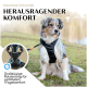 Hund trägt ein schwarzes Geschirr im Freien, mit Text, der 'Herausragender Komfort' und 'Großzügige Polsterung für optimalen Tragekomfort' hervorhebt.