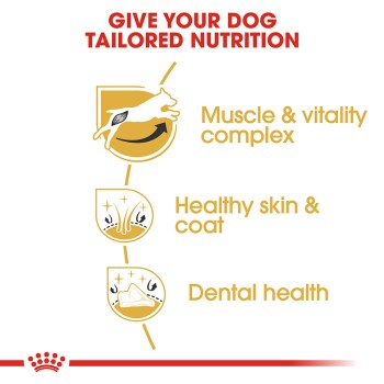 Infographic promoting tailored nutrition for dogs, featuring benefits: muscle & vitality complex, healthy skin & coat, and dental health.