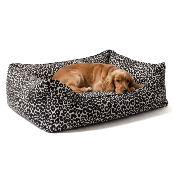 Golden Retriever liegt auf einem schwarz-weißen, leopardgemusterten Bolster-Hundebett vor weißem Hintergrund.