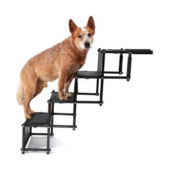 Ein Hund steht auf einer mehrstufigen Haustiertreppe, mit einer schwarzen Tragetasche mit dem Etikett "plupet" und gefalteten Stufen daneben.