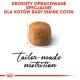 Granulki zaprojektowane specjalnie dla kotów rasy Maine Coon, z wyraźnie widocznym napisem "tailor-made nutrition".