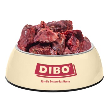 Eine beige Haustierfutterschüssel gefüllt mit Stücken rohen Fleisches, beschriftet mit "DIBO" und dem Slogan "Für die Besten das Beste" deutlich sichtbar.