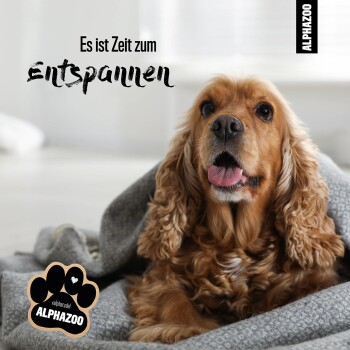 ALPHAZOO Seelenruhe Beruhigungsspray für Hunde I Beruhigungsmittel mit ...
