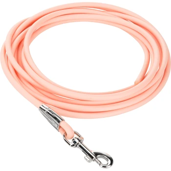Pepe & Kitty Schleppleine für Hunde 4 m apricot