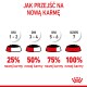 Infografika "Jak przejść na nową karmę" pokazuje 7-dniową zmianę na nową karmę dla zwierząt: 25%, 50%, 75% i 100% w ciągu dni.