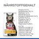 Verpackung für Katzenfutter mit einer getigerten Katze mit rotem Halsband, die Nährwertinformationen wie Protein, Fett und Vitamine anzeigt.