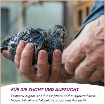 Gelbes Haustierfutterprodukt mit Etiketten: "Proteinreich," "Fettreich," "Ganzjährig," "Artgerecht," "Monatliche Lieferung," und "Deutsche."