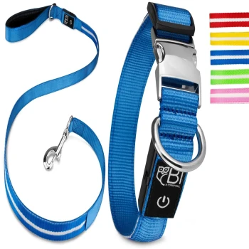 Blaue Haustierleine mit einem silbernen Clip und einer Schnalle, mit einem schwarzen Power-Knopf und Logo. Sechs bunte Riemen sind rechts angezeigt.