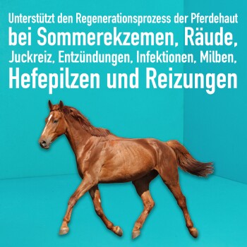 Pferdepflege