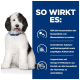Ein flauschiger schwarz-weißer Welpe sitzt vor einem blauen Hintergrund und hebt gesundheitliche Vorteile für die Harnwege und die Reduzierung von Blasensteinen hervor.