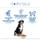Banner 'VORTEILE': Berner Sennenhund neben Futterschüssel, deutsche Beschriftungen für Gelenke, Haut & Fell und schlanke Muskulatur.