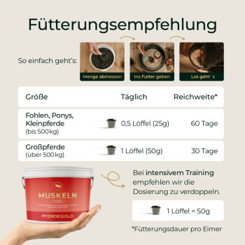 Deutsches Poster 'Fütterungsempfehlung' mit Symbolen, rotem Eimer mit Aufschrift 'MUSKELN PFERDEGOLD' und Dosiertabelle (0,5 Löffel = 25 g / 1 Löffel = 50 g).