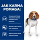 Beagle na niebieskim tle podkreśla korzyści z karmy dla psów: wspomaga spalanie tłuszczu, utrzymuje psy w sytości i wspiera zdrowie odporności.