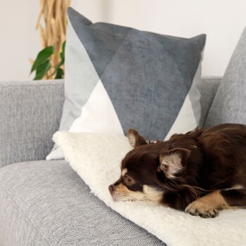Randaco Wärmematte Haustiere Katzenmatte Selbstheizende Katze Hunde  Heizdecke 50x50cm grau