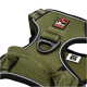 Grünes Hundegeschirr mit einem Netzdesign, mit einem schwarzen Clip und einem "Dogs Creek"-Logo-Patch.