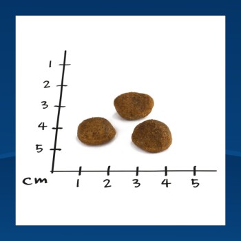 Drei braune Haustierfutter-Kroketten auf weißer Oberfläche mit einem schwarzen Zentimetermaß, das ihre Größe zeigt.