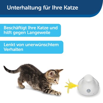 Ein verspielter Kätzchen nähert sich einem weißen Spielzeug mit einer gelben Feder, mit deutschem Text, der die Unterhaltung für Katzen fördert.