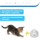 Ein verspielter Kätzchen nähert sich einem weißen Spielzeug mit einer gelben Feder, mit deutschem Text, der die Unterhaltung für Katzen fördert.