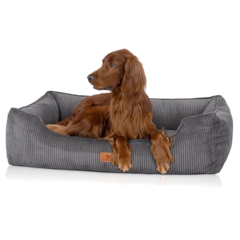 Rotbrauner langhaariger Hund, der in einem grauen Cord‑Hundebett mit kleinem Lederetikett liegt, die Vorderpfoten über den Rand gelegt.