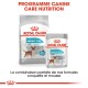 L'emballage de nourriture pour chien Royal Canin Urinary Care montre un sac "MINI" pour la santé urinaire et un sachet pour "TOUTES LES TAILLES," avec une illustration de Chihuahua.