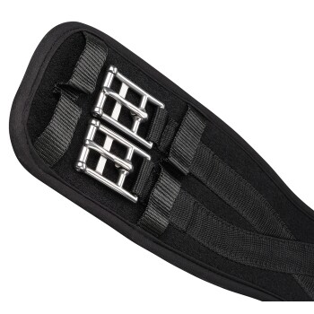 Schwarzes Haustiergeschirr mit zwei silbernen Schnallen und verstellbaren Riemen, entworfen für Komfort und Sicherheit.