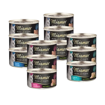 Eine Sammlung von Miamor Katzenfutterdosen mit verschiedenen Geschmacksrichtungen, darunter Thun & Shrimps und Huhn & Thun, mit einem eleganten Design und einem Katzenbild.