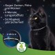 Schwarze Katze mit Halsband, mit Text, der den Schutz vor Zecken, Flöhen und Mücken für bis zu 4 Monate hervorhebt.
