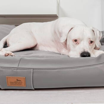 Schwarzes rechteckiges Haustierbett mit einer glatten Oberfläche und abgerundeten Kanten, entworfen für Komfort und Entspannung.