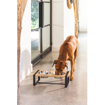 Ein brauner Hund frisst aus einem stilvollen doppelten Futterstand mit Edelstahlschüsseln, in einem modernen Innenraum.